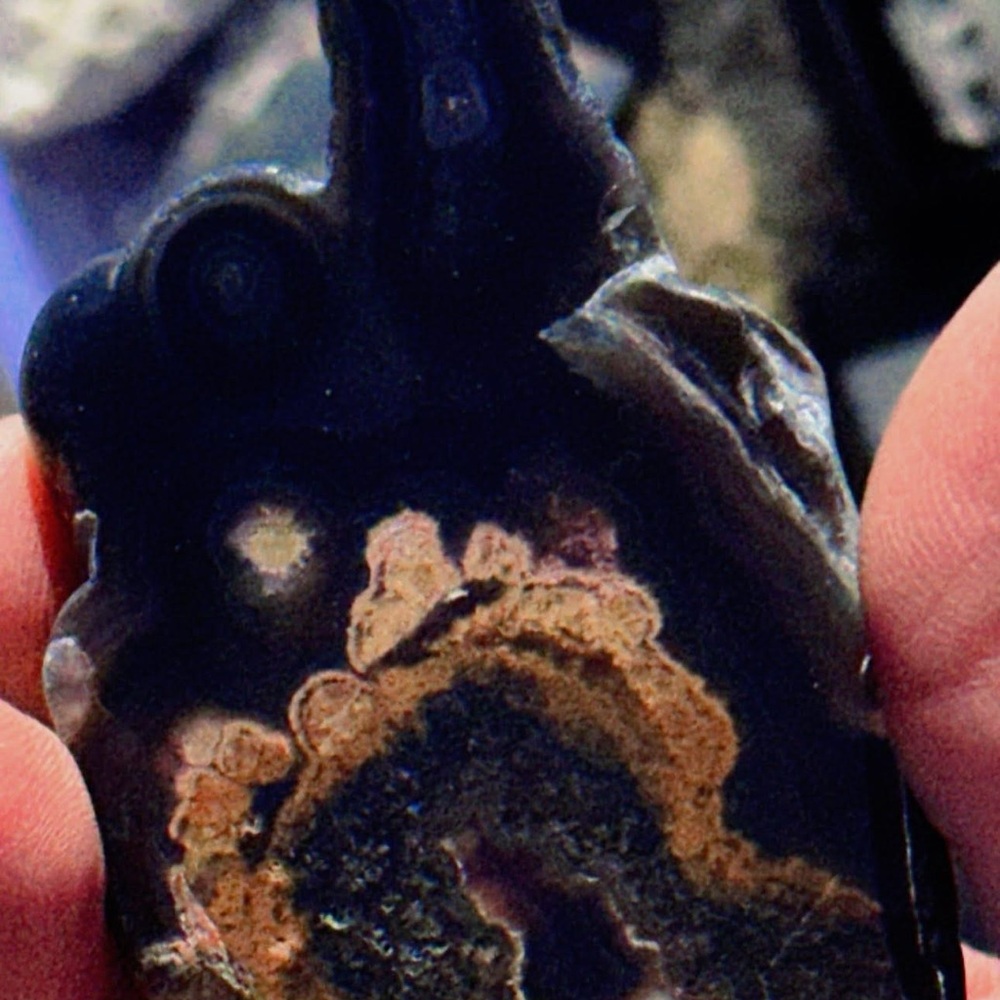 Flower onyx with eyes 👀 in awesome shape